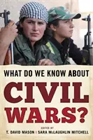Was wissen wir über Bürgerkriege? - What Do We Know about Civil Wars?