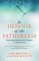 In Defense of the Fatherless: Erlösung der internationalen Adoption und Waisenbetreuung - In Defense of the Fatherless: Redeeming International Adoption & Orphan Care