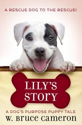 Lily's Geschichte: Ein Welpenmärchen - Lily's Story: A Puppy Tale