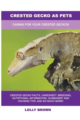Kammgecko als Haustiere: Pflege für Ihre Kammgeckos - Crested Gecko as Pets: Caring For Your Crested Geckos