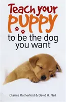 Bringen Sie Ihrem Welpen bei, der Hund zu sein, den Sie sich wünschen - Teach Your Puppy to be the Dog You Want