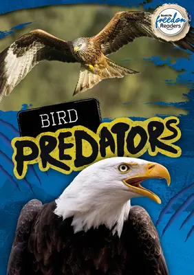Vogel-Raubtiere - Bird Predators