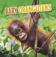 Baby-Orang-Utans - Baby Orangutans