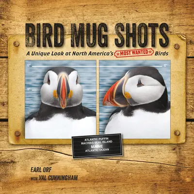 Vogel-Tassenfotos: Ein einzigartiger Blick auf Nordamerikas meistgesuchte Vögel - Bird Mug Shots: A Unique Look at North America's Most Wanted Birds