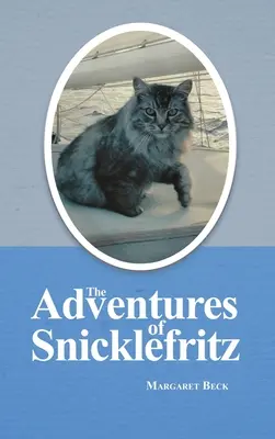 Die Abenteuer von Snicklefritz - The Adventures of Snicklefritz