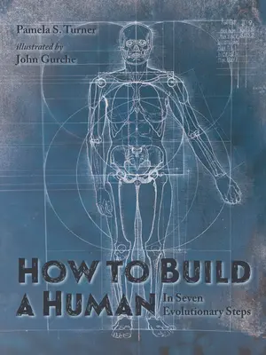 Der Weg zum Menschen: Sieben Evolutionsschritte - How to Build a Human: In Seven Evolutionary Steps