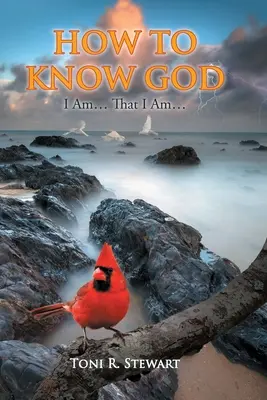 Wie man Gott kennenlernt: Ich bin... Das bin ich... - How to Know God: I Am... That I Am...