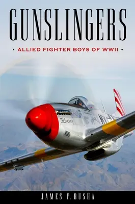 Revolverhelden: Alliierte Kampfflieger des Zweiten Weltkriegs - Gunslingers: Allied Fighter Boys of WWII