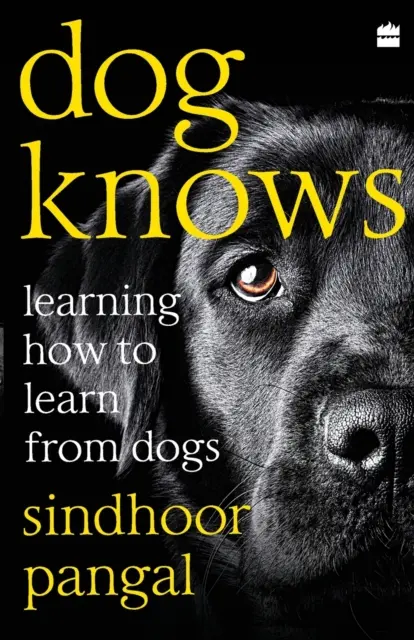 Der Hund weiß Bescheid: Wie man von Hunden lernt - Dog Knows: Learning How to Learn from Dogs