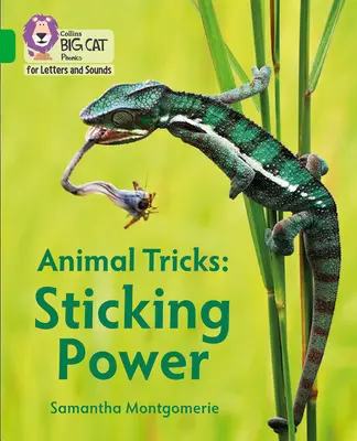 Tierische Tricks: Klebekraft - Band 05/Grün - Animal Tricks: Sticking Power - Band 05/Green