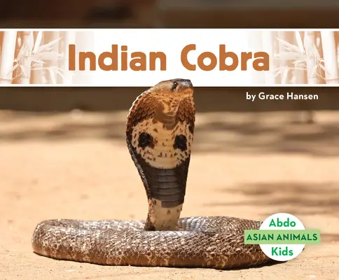 Indische Kobra - Indian Cobra