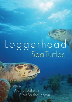 Unechte Karettschildkröten - Loggerhead Sea Turtles