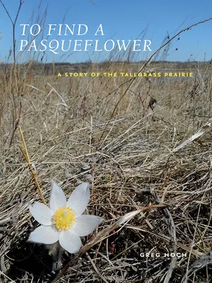 Auf der Suche nach einer Wiesenblume: Eine Geschichte der Tallgrass Prairie - To Find a Pasqueflower: A Story of the Tallgrass Prairie