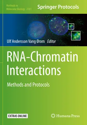 Rna-Chromatin-Wechselwirkungen: Methoden und Protokolle - Rna-Chromatin Interactions: Methods and Protocols