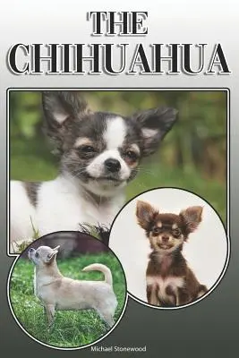 Der Chihuahua: Ein komplettes und umfassendes Handbuch für Chihuahua-Besitzer: Kaufen, Halten, Gesundheit, Pflege, Training, Gehorsam, Verstehen und - The Chihuahua: A Complete and Comprehensive Owners Guide To: Buying, Owning, Health, Grooming, Training, Obedience, Understanding and