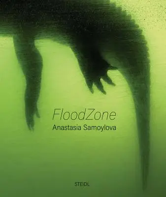Anastasia Samoylova: Überschwemmungsgebiet - Anastasia Samoylova: Floodzone