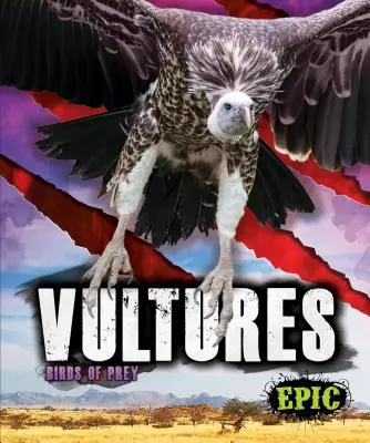 Geier - Vultures