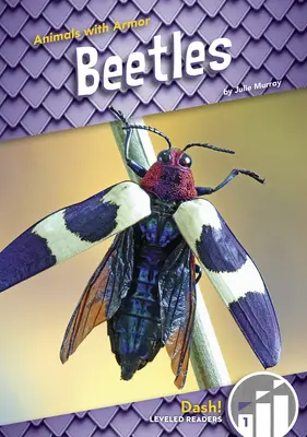 Käfer - Beetles