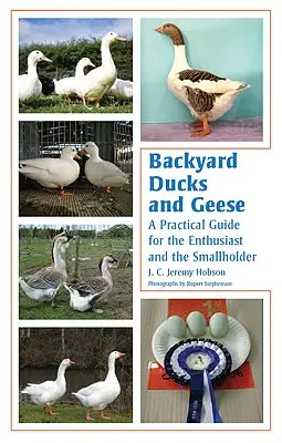 Enten und Gänse im Hinterhof: Ein praktischer Leitfaden für den Liebhaber und den Kleinhalter - Backyard Ducks and Geese: A Practical Guide for the Enthusiast and the Smallholder