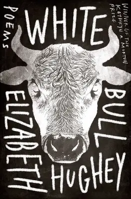 Weißer Stier - White Bull