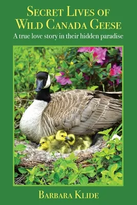 Das geheime Leben der wilden Kanadagänse: Eine wahre Liebesgeschichte in ihrem verborgenen Paradies - Secret Lives of Wild Canada Geese: A true love story in their hidden paradise