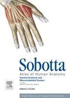 Sobotta Atlas der menschlichen Anatomie, Band 1, 15. Auflage, Englisch - Allgemeine Anatomie und Muskel-Skelett-System - Sobotta Atlas of Human Anatomy, Vol.1, 15th ed., English - General Anatomy and Musculoskeletal System