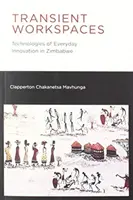 Flüchtige Arbeitsräume: Technologien der alltäglichen Innovation in Simbabwe - Transient Workspaces: Technologies of Everyday Innovation in Zimbabwe