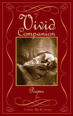 Vivid Companion