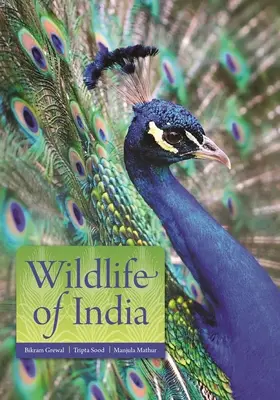 Wildtiere in Indien - Wildlife of India