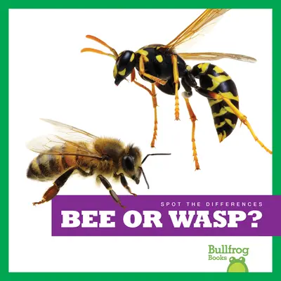 Biene oder Wespe? - Bee or Wasp?