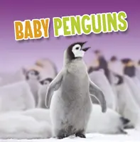 Baby-Pinguine - Baby Penguins