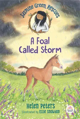 Jasmine Green rettet: Ein Fohlen namens Storm - Jasmine Green Rescues: A Foal Called Storm