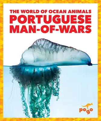 Portugiesischer Mann-im-Krieg - Portuguese Man-Of-Wars