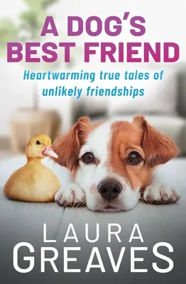 Der beste Freund des Hundes: Herzerwärmende wahre Geschichten einer unwahrscheinlichen Freundschaft - A Dog's Best Friend: Heartwarming True Tales of Unlikely Friendship