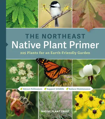Die Nordost-Fibel für einheimische Pflanzen: 235 Pflanzen für einen umweltfreundlichen Garten - The Northeast Native Plant Primer: 235 Plants for an Earth-Friendly Garden