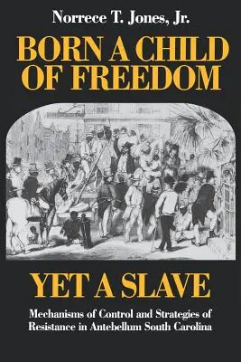 Als Kind der Freiheit geboren und doch ein Sklave: Mechanismen der Kontrolle und Strategien des Widerstands im South Carolina der Vorkriegszeit - Born a Child of Freedom, Yet a Slave: Mechanisms of Control and Strategies of Resistance in Antebellum South Carolina