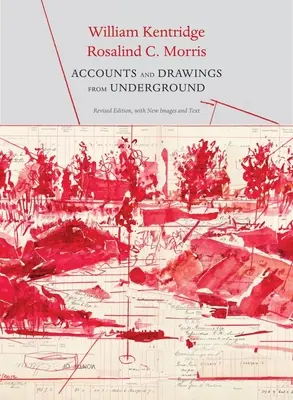 Konten und Zeichnungen aus der Unterwelt: Das Kassenbuch der East Rand Proprietary Mines - Accounts and Drawings from Underground: The East Rand Proprietary Mines Cash Book