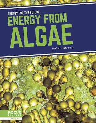 Energie aus Algen - Energy from Algae