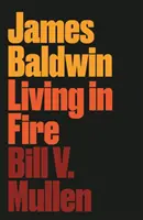 James Baldwin: Leben im Feuer - James Baldwin: Living in Fire