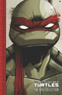 Teenage Mutant Ninja Turtles: Die IDW-Sammlung Band 1 - Teenage Mutant Ninja Turtles: The IDW Collection Volume 1