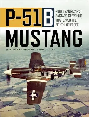 P-51b Mustang: North American's Bastard Stepchild, das die Eighth Air Force rettete - P-51b Mustang: North American's Bastard Stepchild That Saved the Eighth Air Force