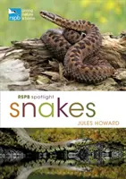 Rspb Spotlight Schlangen - Rspb Spotlight Snakes