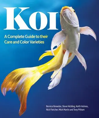 Koi: Ein kompletter Leitfaden für ihre Pflege und Farbvarianten - Koi: A Complete Guide to Their Care and Color Varieties