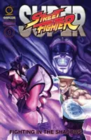 Super Street Fighter Sammelband: Kampf im Schatten - Super Street Fighter Omnibus: Fighting in the Shadows