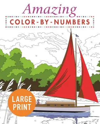 Amazing Color by Numbers Großdruck - Amazing Color by Numbers Large Print