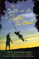 Tod und Leben von Charlie St. Cloud - Death and Life of Charlie St. Cloud