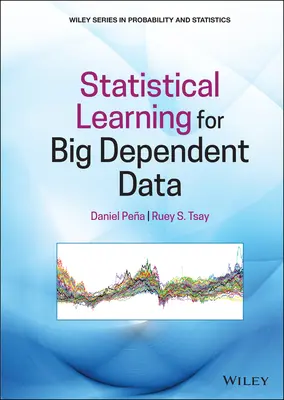 Statistisches Lernen für große abhängige Daten - Statistical Learning for Big Dependent Data