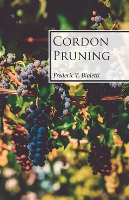 Kordon-Beschneidung - Cordon Pruning