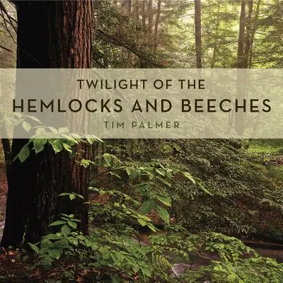 Die Dämmerung der Hemlocks und Beeches - Twilight of the Hemlocks and Beeches