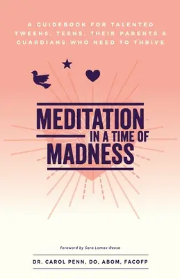 Meditation in einer Zeit des Wahnsinns: Ein Leitfaden für begabte Teenager, ihre Eltern und Erziehungsberechtigten, die sich entfalten wollen - Meditation in a Time of Madness: A Guidebook for Talented Tweens, Teens, Their Parents & Guardians Who Need to Thrive